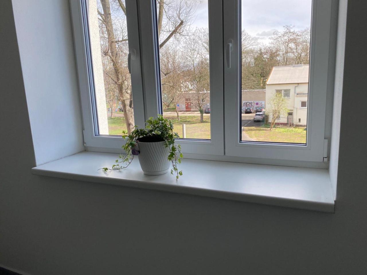 Perla Hradce 401 Apartman Hradec Králové Kültér fotó